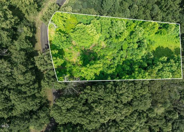 Property at Lot 11 Lake Ridge Rd, Butler, TN 37640