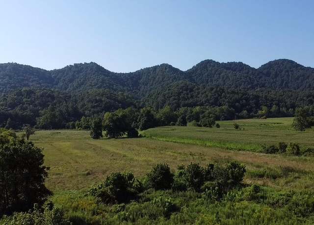 Property at 10519 Fairview Rd, Blackwater, VA 24221