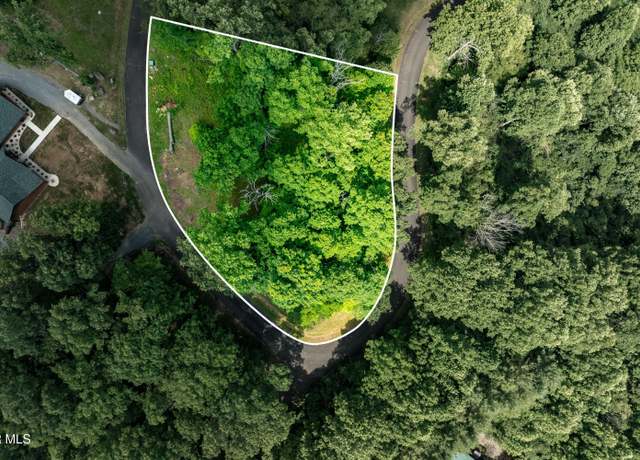 Property at Lot 18 Lake Ridge Rd, Butler, TN 37640