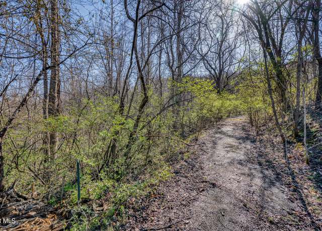 Property at Tbd Cannon Hill Dr, Elizabethton, TN 37643