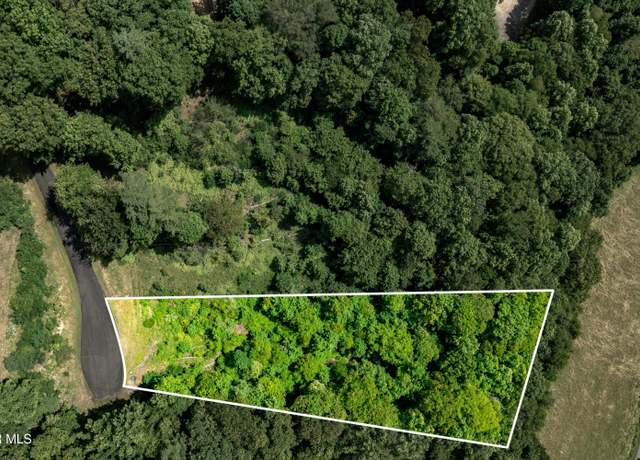 Property at Lot 31 Lake Ridge Rd, Butler, TN 37640