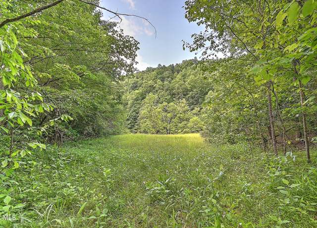 Property at 000 Goode Hollow Rd, Duffield, VA 24244