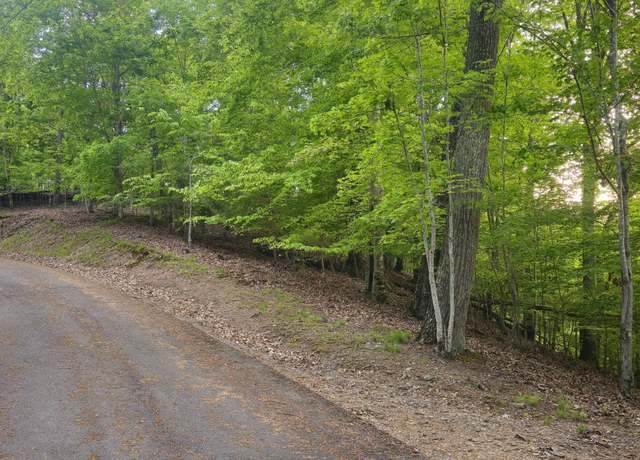 Property at 1445 Echota Ln, Mooresburg, TN 37811