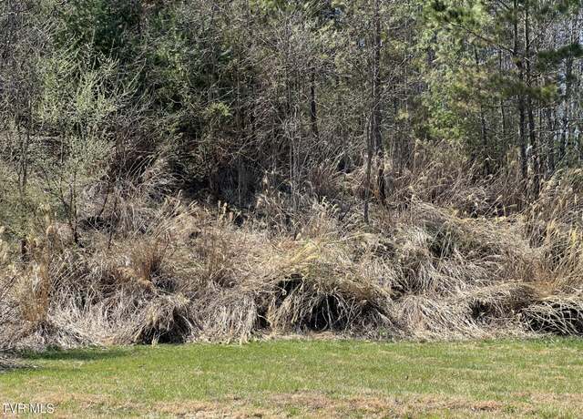Property at Tbd Charles St, Clintwood, VA 24228