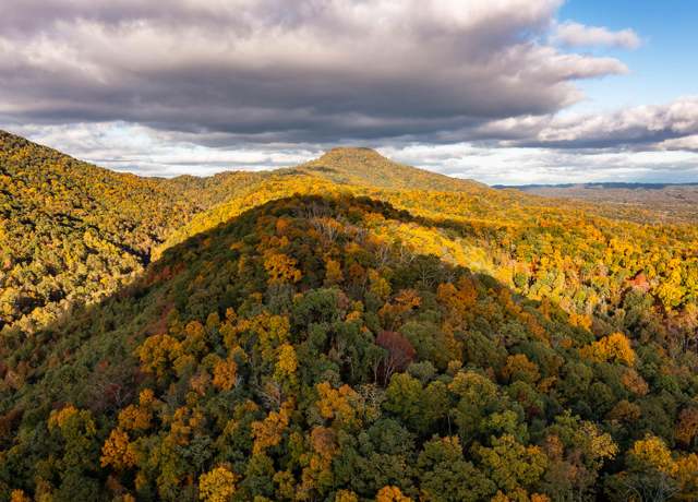 Property at 378 Ac Caney Creek Ln, Greeneville, TN 37745