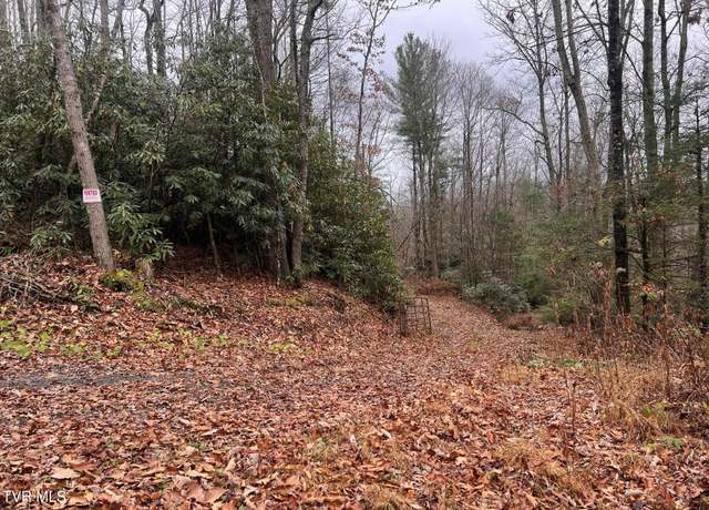 Property at 162 Murph Potter Ln, Roan Mountain, TN 37687