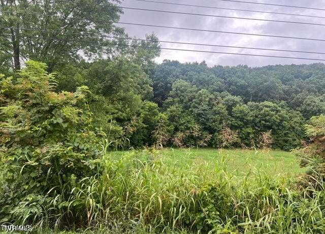 Property at Tbd Rheatown Rd, Chuckey, TN 37641