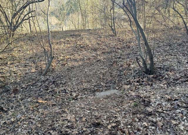 Property at 110-114 Lawson St, Cedar Bluff, VA 24609