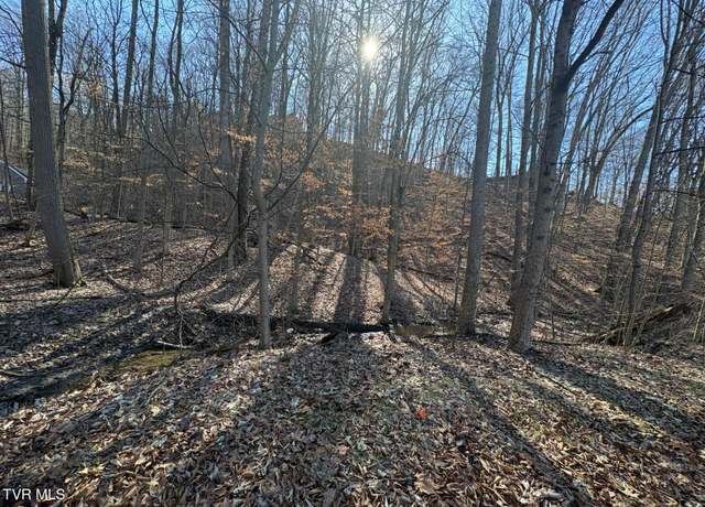Property at 712 & 716 Woodgreen Ln, Kingsport, TN 37660