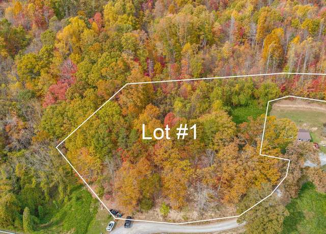 Property at Tbd Majestic Lot 1 Dr, Duffield, VA 24244