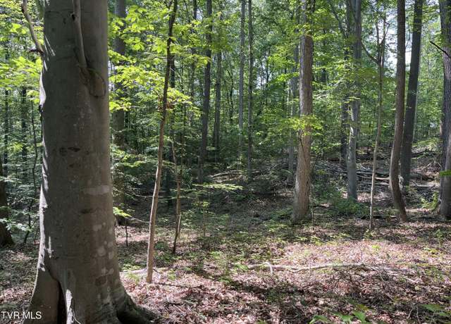 Property at 000 Hwy 70s, Rogersville, TN 37857
