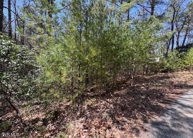 Property at 0 Buck Hollow Rd, Sugar Grove, VA 24375
