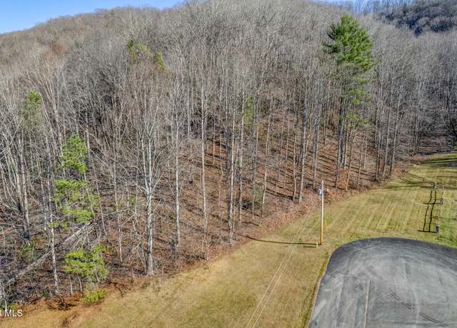 Property at 117 Buckner Dr, Roan Mountain, TN 37687