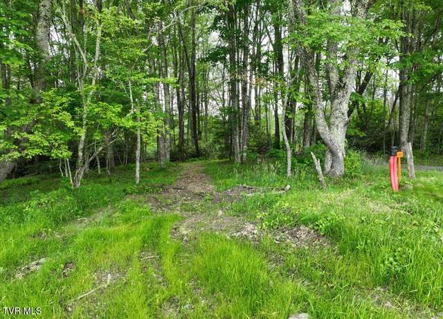 Property at 1768 Ripshin Mountain Rd, Roan Mountain, TN 37687