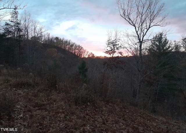 Property at 253 Honey Dew Ln, Watauga, TN 37694