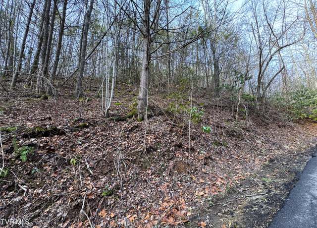 Property at Lot 10 Black Gum Gap Rd, Gatlinburg, TN 37738