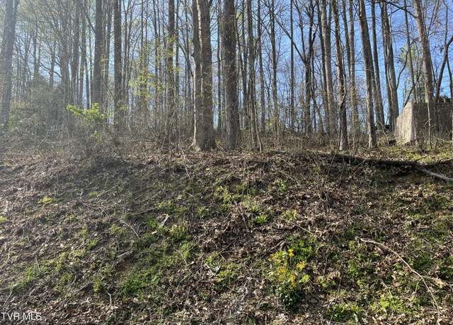 Property at Tbd Wedgewood Rd, Big Stone Gap, VA 24219