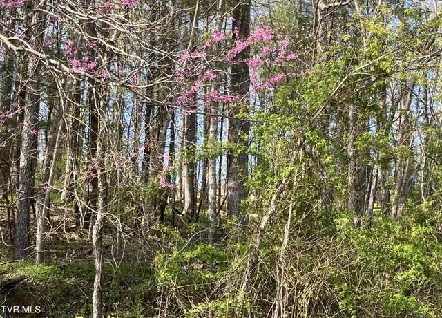 Property at 2 Lots Powell Valley Road Rd, Big Stone Gap, VA 24219