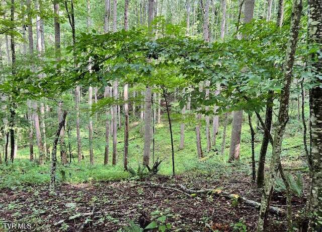 Property at 337 Heaton Creek Rd, Roan Mountain, TN 37687