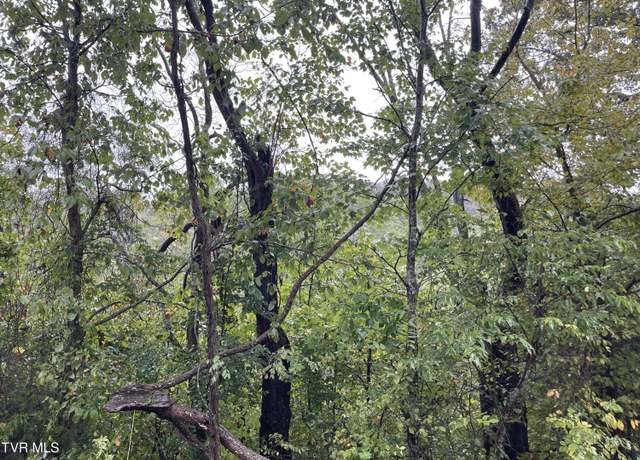 Property at 0 Lazy Ln, Mount Carmel, TN 37645