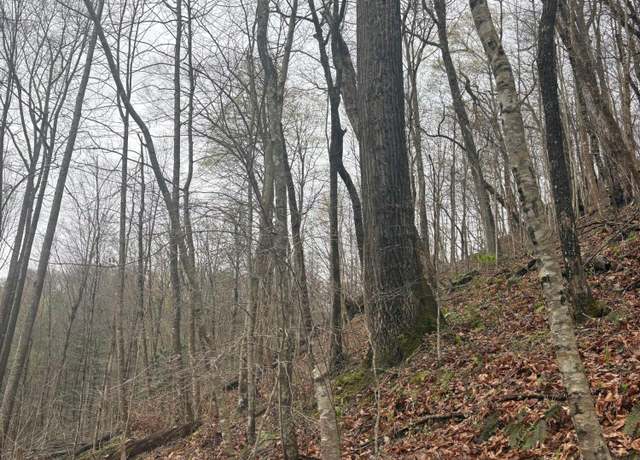 Property at 0 Wagoner Town Rd, Saint Charles, VA 24282