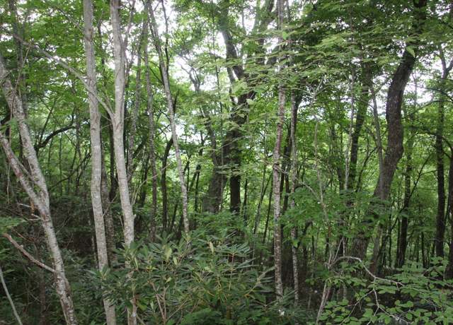 Property at 0000 Seminole Dr, Mountain City, TN 37683