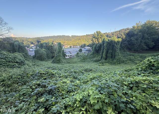 Property at Lot 16 Birdwell, Kingsport, TN 37664