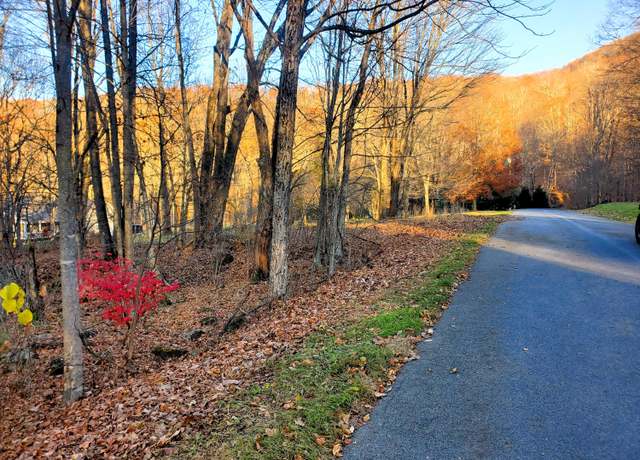 Property at 000 Toms Creek Dr, Roan Mountain, TN 37687