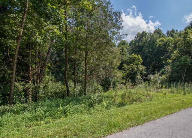 Property at Lot 46 Tbd Preston Place Dr, Abingdon, VA 24211
