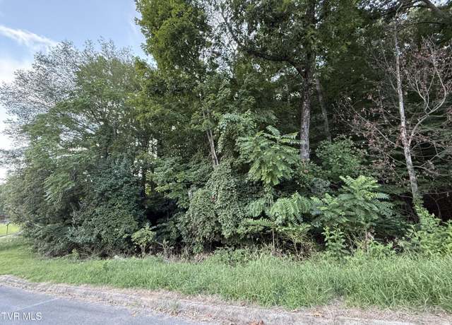 Property at 0 Maywood & Welch Dr, Kingsport, TN 37660