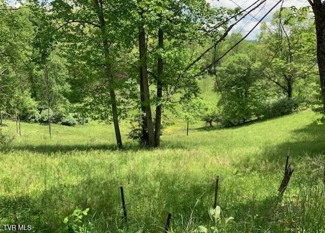 Property at 1478 Bellamy Tipton Rd, Gate City, VA 24251