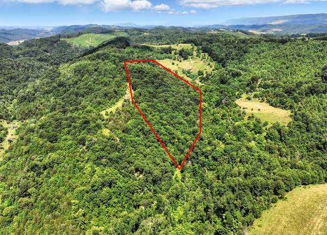 Property at Tbd Rushing Rd, Castlewood, VA 24224