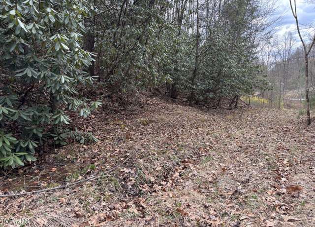 Property at 00 Robinson Hollow Ln, Mountain City, TN 37683