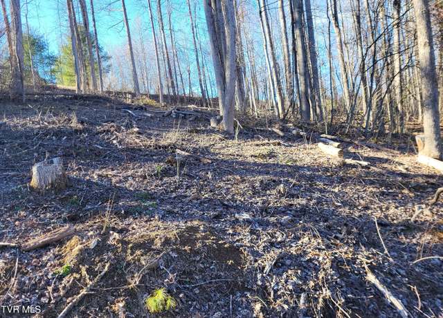 Property at Tbd Muskrat Ramble Rd, Mountain City, TN 37683