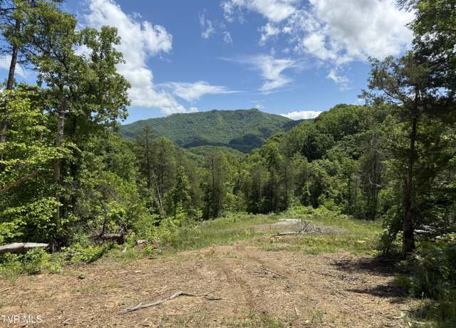 Property at 146/Ac Tbd Simpson Loop, TN 37857