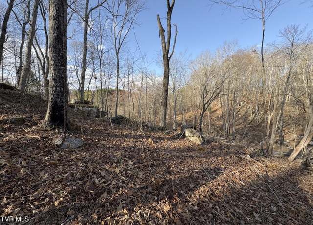 Property at 16100 Flags Road Rd, Saint Paul, VA 24283