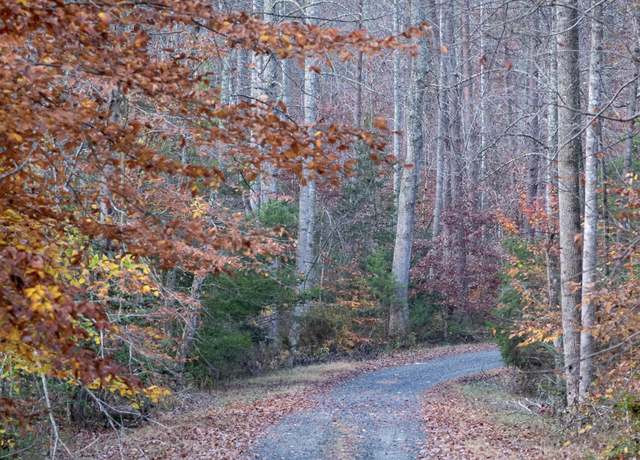 Property at Tbd Fire Station Rd, Elizabethton, TN 37643