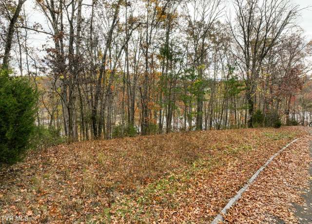 Property at 121 Pointe Dr, Piney Flats, TN 37686