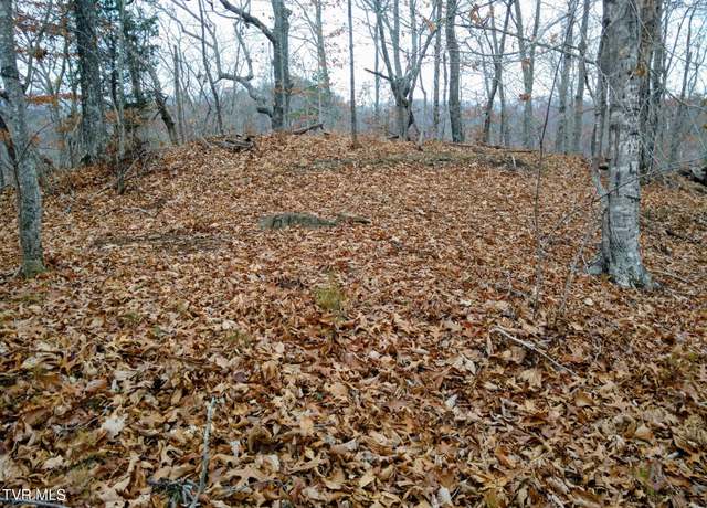 Property at 000 New Hope Rd, Sneedville, TN 37869
