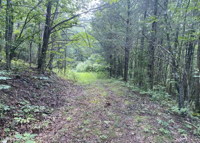 Property at 0 Sinks (103 Acres) Rd, Blackwater, VA 24221