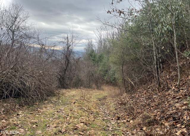 Property at Tbd H Proffitt Ln, Butler, TN 37640