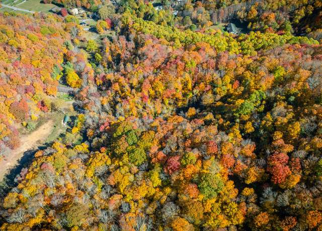 Property at 119 Hughes Hollow Rd, Roan Mountain, TN 37687