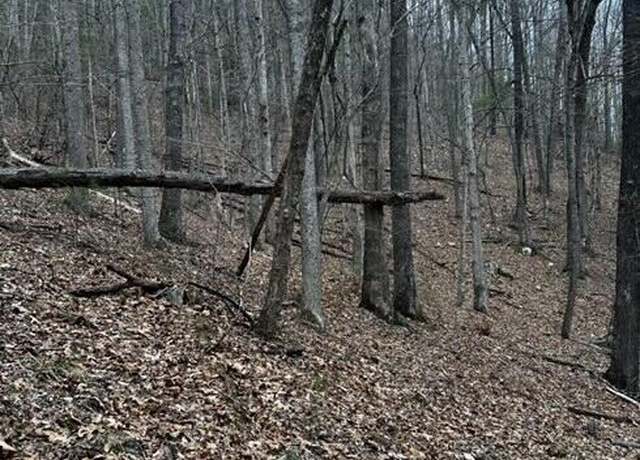 Property at Tbd Roan Creek Rd, Butler, TN 37640