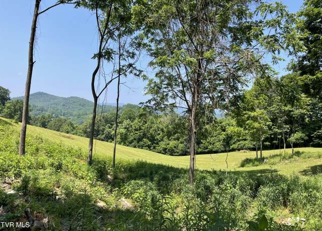 Property at Tbd Lake Mist Trl, Butler, TN 37640