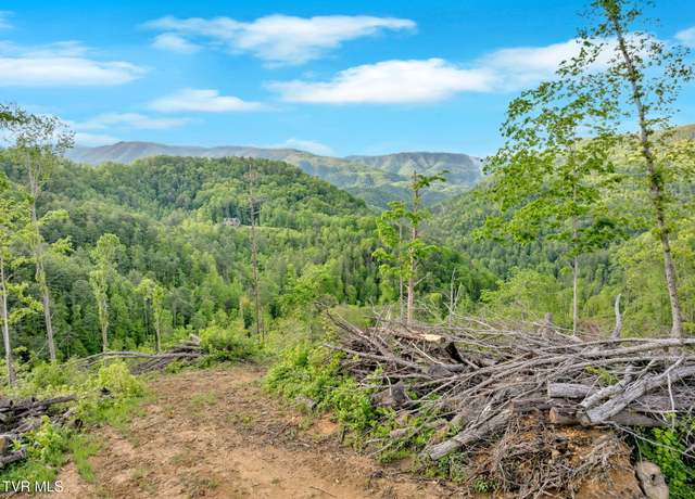 Property at 59.8 Acres Willis Cove Rd, Erwin, TN 37650