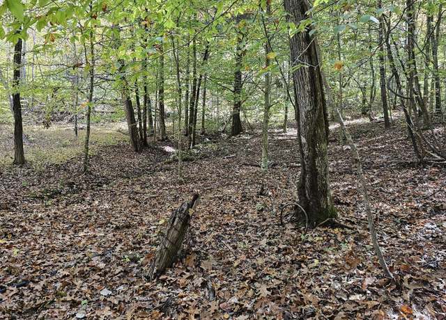 Property at 5.85 Acres Judge Clark Rd, Jonesborough, TN 37659