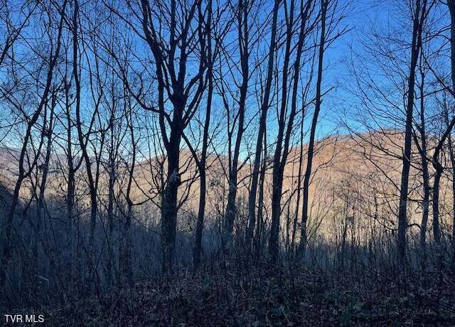 Property at Lot 13 Eagle Ridge Rd, Roan Mountain, TN 37687
