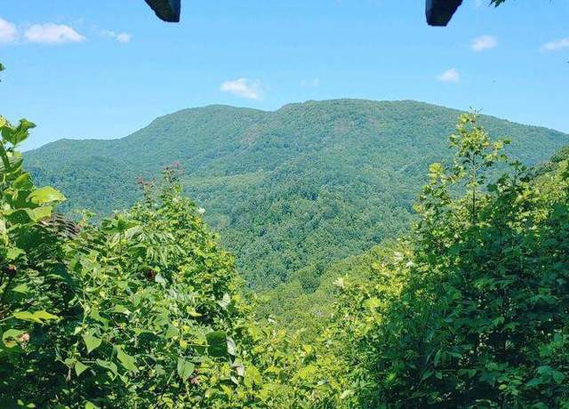 Property at 174 Doty Rd, Roan Mountain, TN 37687
