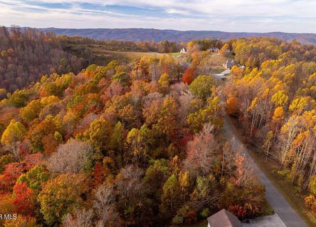 Property at Tbd Airport Road Lot 6, Cedar Bluff, VA 24609