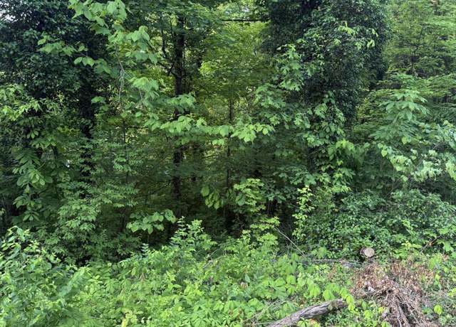 Property at Lot 15 Ashley St, Kingsport, TN 37664